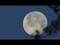 sciencecasts the super moon of may 2012