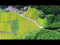 dji phantom3 空撮 「日本の棚田百選」　宮崎県日南市　坂元棚田