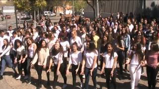 008 Francophonie 2017   Flashmob