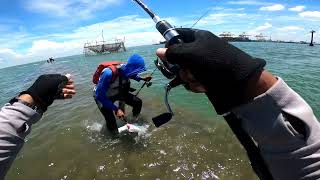 MANCING DI DAM IJO SEMARANG SPOT ELITE SAMBARAN APIK, PATIK TOMPEL DAN TIDAK LUPA CEPLEK BARRAMUNDI