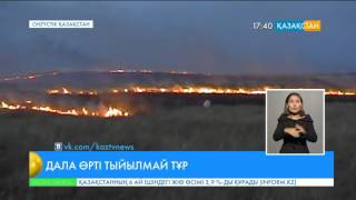 ОҚО: Бәйдібек ауданында 40 гектардан аса жайылымдық өртеніп кетті