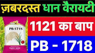 Pusa Basmati 1718 detail in hindi | PB 1718 paddy seeds |