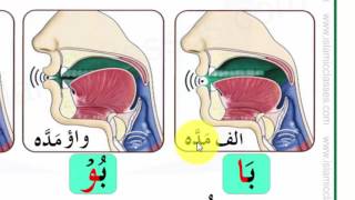 Makhraj No 16/17 - Makhraj of Maddah Letters - Articulation Points of Arabic Letters