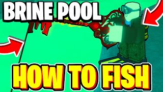 How To FISH IN BRINE POOL In Fisch! FULL GUIDE (Brine Pool Location) Roblox