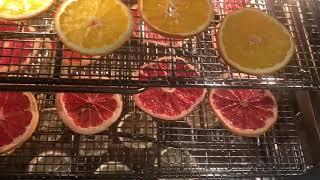 DIY Dried Citrus Fruit Garland in the Wolf M or E Series Ovens