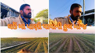 New Vlogs \u0026 ઘઉં મા પાણી પાવાની ફુલ મોજ #Farming