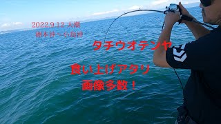 洲本沖〜小島沖　タチウオテンヤ　食い上げアタリ画像多数　渋めの大潮攻略　船酔いちゃんねるvol5