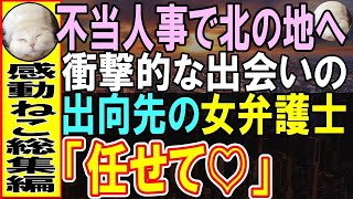 【感動する話★総集編】上司にハメられて左遷された俺。出向先の担当女弁護士が事情を知りトラブル解決に乗り出すと…【いい話】【泣ける話】【朗読】