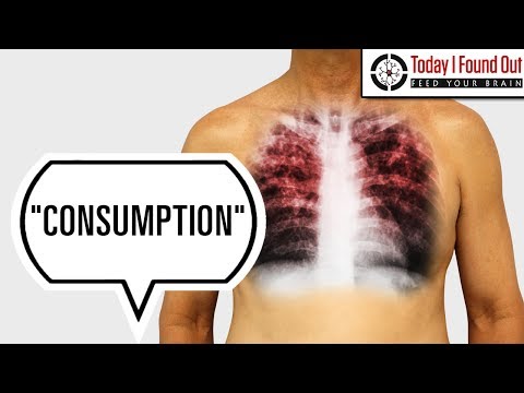 Why was TB called consumption?