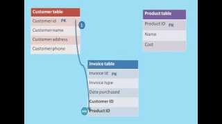 Data dictionary and schema.avi