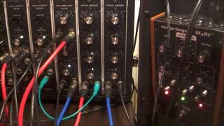 Reverberations: Dual Trigger Delay and Moog MuRF.