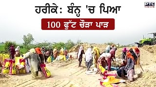 ਹਰੀਕੇ ਚ ਬਣੇ ਬੰਨ੍ਹ 'ਚ ਪਿਆ 100 ਫੁੱਟ ਚੌੜਾ ਪਾੜ | Harike Pattan | Dam Cracks | Punjab Floods | Patti