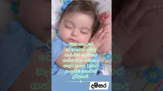 ඔබේ ම සැනසුම වෙනුවෙන් ඔබ මොහොතක් මෙත් වඩන්න ❤❤❤