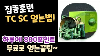 TC SC 빠르게 얻는 방법!!    FC 온라인 꿀팁!!  집중훈련/전술훈련    피파4 열이형    #트레이닝코인