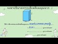 การหาปริมาตรของทรงสี่เหลี่ยมมุมฉาก ป.5 ครูเปิ้ล