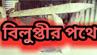 গ্রাম-বাংলা থেকে অবলুপ্তির পথে ঢেঁকি.........