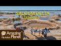 Backstage, Saloum Delta, Senegal: Amazing Planet (4K) 2024