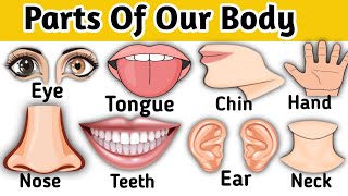 शरीर के अंगों के नाम  || Parts of Our Body | Body Parts Vocabulary | Parts of Body Name For Kids|