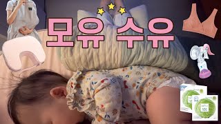 모유수유의 모든 것: 6개월 완모중, 수유계기, 수유량, 수유텀, 수유자세, 수유템