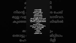 Chakkarallikiisong #chakkarakkili #lyrics #prithviraj #vellinakshathram