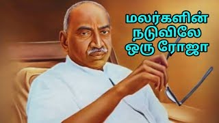 Malargalin Naduvinil oru Roja | மலர்களின் நடுவினில் ஒரு ரோஜா.