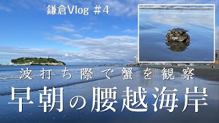 早朝の腰越海岸を歩いていたら、カニの交尾中に遭遇｜鎌倉Vlog #4