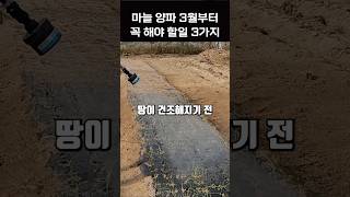 마늘 양파 3월부터 이렇게 관리 하세요! #마늘재배