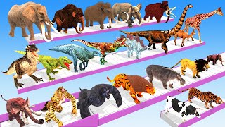 Animals vs Dinosaurs vs Mammoth Elephant Speed Race Run Zigzag Down Course! Animal Revolt Battle