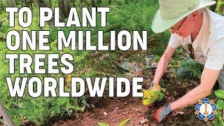 Goal: Plant 1 Million Trees | Environmental Sustainability