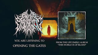 BIND THE SACRIFICE - OPENING THE GATES [OFFICIAL VISUALIZER] (2025) SW EXCLUSIVE