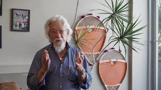 Dr. David Suzuki Supports Divest UWinnipeg \