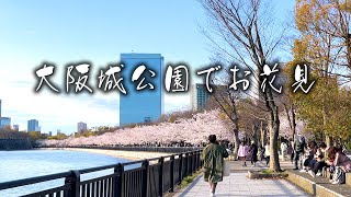 【満開】大阪城公園でお花見 2022月4月1日【4K】