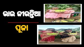 ଭାଇ ଜୀଉନ୍ତିଆ ପୂଜା#JAGRUTI LIVE MEDIA#ODIA NEWS#KALAHANDI NEWS