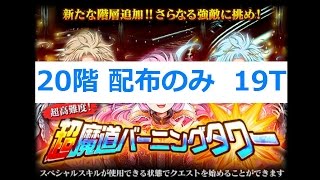 【黒猫のウィズ】20階 配布のみ 19T【超高難易度! 超魔道バーニングタワー】