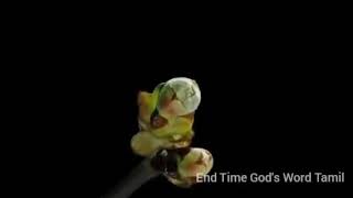 Kannin mani pola kadavul //christian tamil song //End Time God's Word Tamil