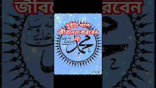 দুটি পাপ জীবনেও করবেন না  #islamicshorts #islamicquotes #islamic #duet #beautiful #foryou