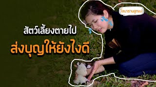 วิธีส่งบุญให้สัตว์เลี้ยง