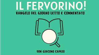 IL FERVORINO! Lc 12,13-21 [La ricchezza abbaglia]