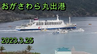 おがさわら丸出港2023.03.25