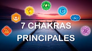 Los 7 Chakras Principales - Ciencia del Saber