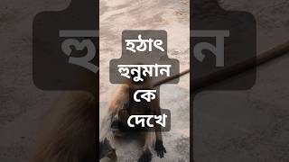 হঠাৎ হুনুমান কে দেখে #monkey #viralshorts #shorts