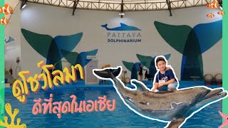 ออก้าพาเที่ยว Pattaya Dolphinarium ดูโชว์โลมา และแวะทานข้าวที่ A La Campagne #pattaya #dolphin