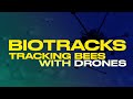 Biotracks: Tracking Bees With Drones