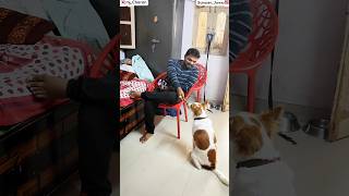 ఎంత క్యూట్ గ అడిగింధో🙈😍😘#mjcharan#trending#viral#dog#doglover#pets#1k#100#subcribe#like#follow#love