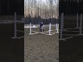 this grid really worked out when i added a stride to the first set of poles fyp horse equestrian