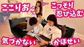 ここりおちゃんが新居にこっそり侵入しています🤫 まったく気付かないかほせい😑 いつ気が付くのか検証🤔1年4か月ぶりの再会💗