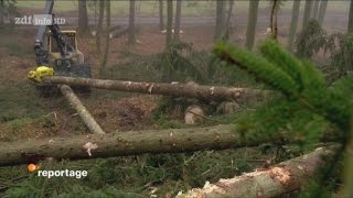 [Doku] Wild, Wald, Winter - Förster im Großeinsatz [HD]