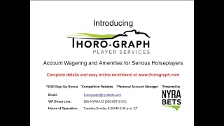 Thorograph: The Fundamentals
