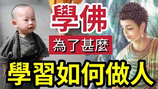 #佛禪 不聽後悔！學佛有甚麼用？為甚麼「伍仔才講得明你」與做人的道理有甚麼關係！佛海無崖「累積」就是學習的過程「頓悟」是改變境界