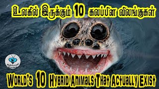 உலகில் இருக்கும் 10 கலப்பின விலங்குகள்| WORLD'S LIVING 10 HYBRID ANIMALS | TAMIL | ARIVALI ULAGAM